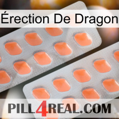 Érection De Dragon 27
